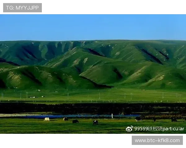 K8扑鱼登陆流程详细指南新手玩家快速上手捕鱼游戏的完整操作步骤 K8扑鱼登陆流程详细指南新手玩家快速上手捕鱼游戏的完整操作步骤